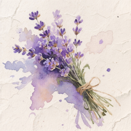 Bouquet de fleurs de lavande attachées avec un fil artisanal.