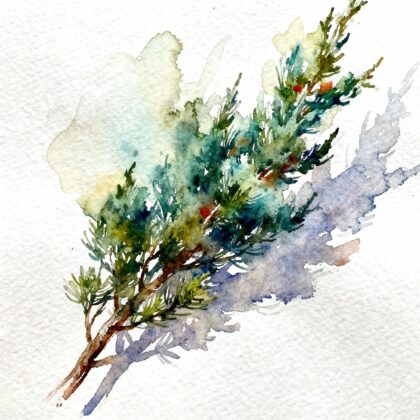 Tree branch