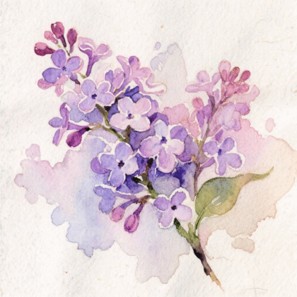 peinture à l'aquarelle de fleurs de lilas violettes et une feuille sur la tige