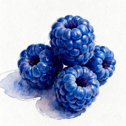 For pieces of blue raspberries