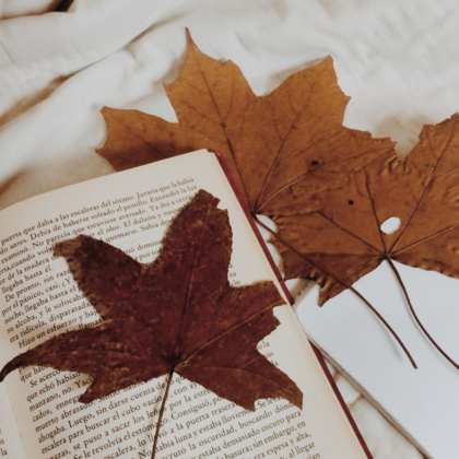 feuilles d'automne sur un livre ouvert