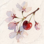 pink cherry blossoms with a single fruit on stem