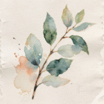 Green eucalyptus Leaves