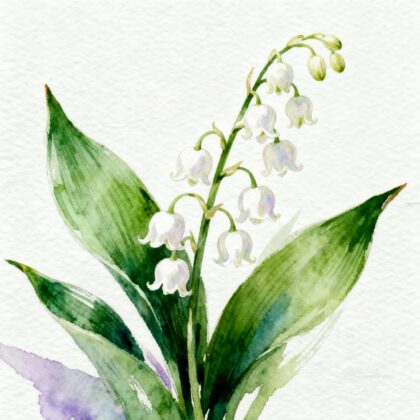 Fleurs blanches avec de grandes feuilles vertes