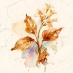Fresh tobacco flowers next to dried brown leaves