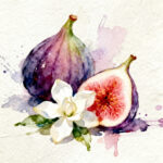 Two black figs next to a white flower
